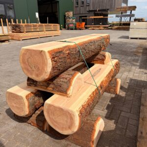Halve Boomstam Bank