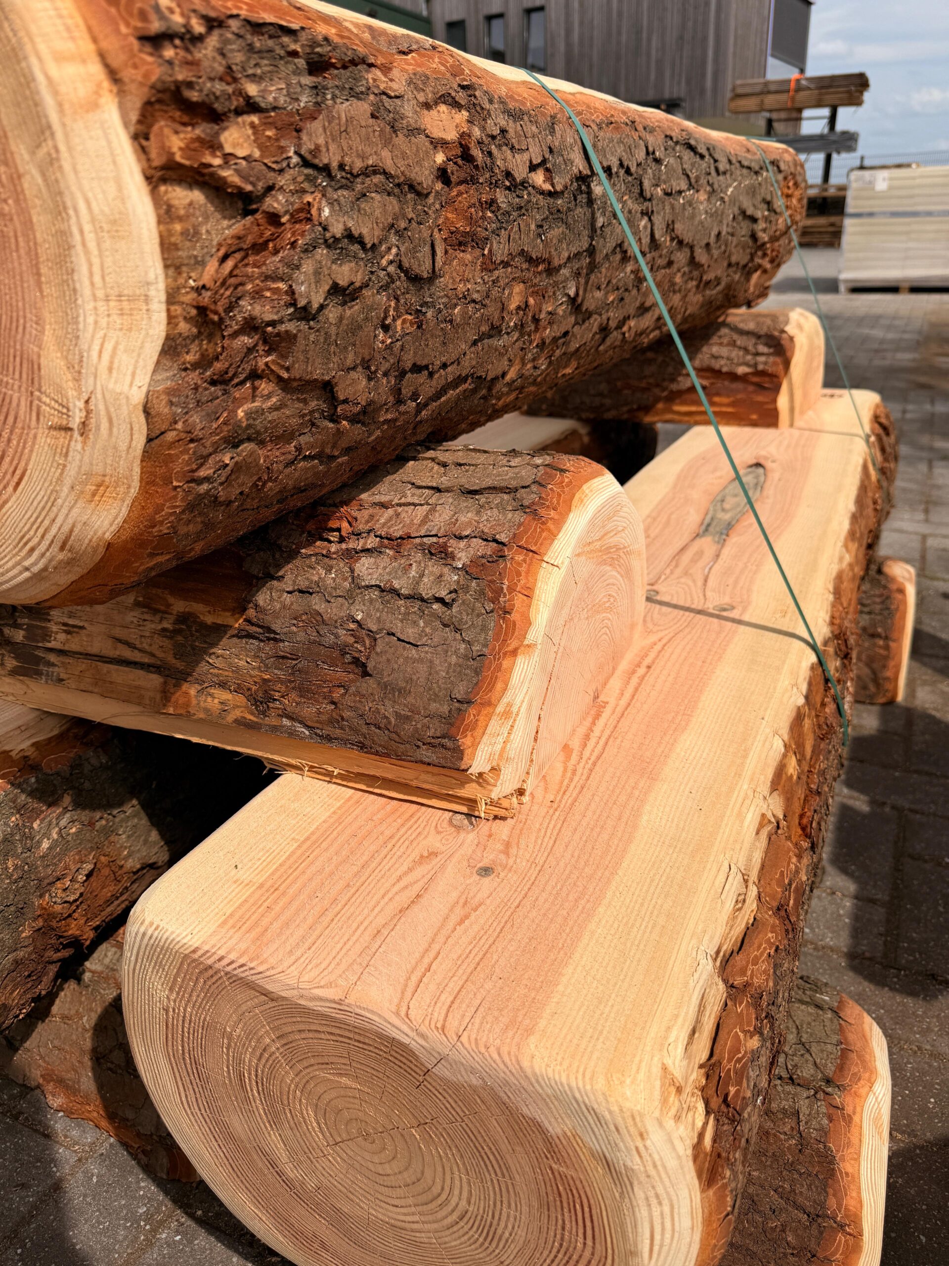 Halve Boomstam Bank - Afbeelding 2